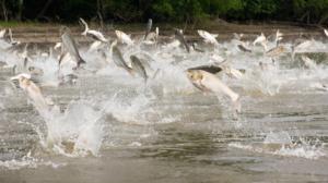 Prisma: Oudoimmat luonnonilmiöt: 20.12.2017 19.00