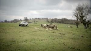 Luontomatkalla: 21.12.2017 08.57