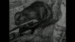 Oi maamme!: Viisi sekuntia. Jakso 3: 21.12.2017 11.57