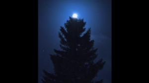 Oi maamme!: Joulukortti: 22.12.2017 08.08