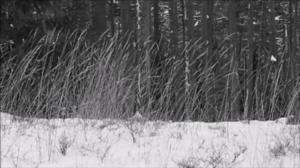 Oi maamme!: Mansikkamehua luontoäidin aitalla: 24.12.2017 17.00