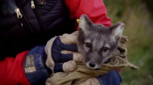 Luontomatkalla: 28.12.2017 09.00