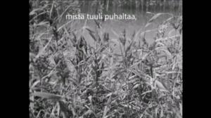 Oi maamme!: Rakkauden koko kirjo: 30.12.2017 10.00