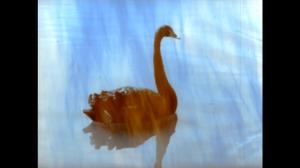 Oi maamme!: Tuonen lintu: 30.12.2017 12.01