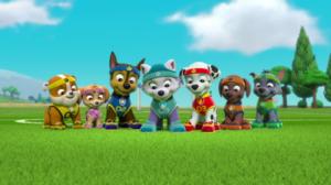 Ryhmä Hau (S): 31.12.2017 07.43