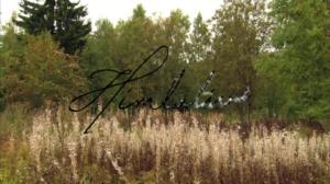 Taivaallista menoa: Solisti tahtomattaan: 01.01.2018 18.30