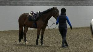 Yle Uutiset Itä-Suomi: Yle Uutiset Itä-Suomi 03-01-2018 Klo 17-06: 03.01.2018 16.46