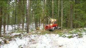 Yle Uutiset Häme: Yle Uutiset Häme 03-01-2018 klo 17-06: 03.01.2018 16.50