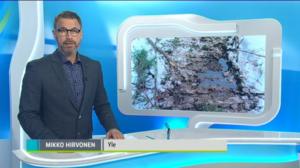 Yle Uutiset Häme: Yle Uutiset Häme 03-01-2018 Klo 18-22: 03.01.2018 18.07