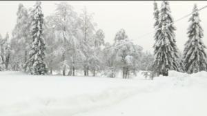 Yle Uutiset Pohjois-Suomi: Yle Uutiset Pohjois-Suomi 04-01-2018 Klo 17-06: 04.01.2018 16.42