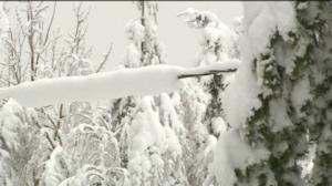 Yle Uutiset Pohjois-Suomi: Yle Uutiset Pohjois-Suomi 05-01-2018 Klo 17-06: 05.01.2018 16.47