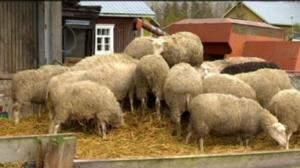 Yle Uutiset Keski-Suomi: Yle Uutiset Keski-Suomi 05-01-2018 Klo 17-06: 05.01.2018 16.51