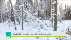 Yle Uutiset Itä-Suomi: Yle Uutiset Itä-Suomi 08-01-2018 Klo 18-22: 08.01.2018 17.42