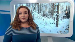 Yle Uutiset Uutis-Suomi: Yle Uutiset Uutis-Suomi 08-01-2018: 08.01.2018 18.42