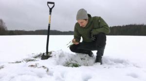 Yle Uutisluokka Triplet: Routa ajaa viljelijän etsimään uusia viljelytapoja: 09.01.2018 09.30