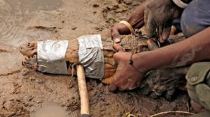 Luontomatkalla Ugandassa: 11.01.2018 09.00