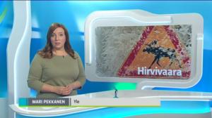 Yle Uutiset Lappi: Yle Uutiset Lappi 12-01-2018 Klo 18-22: 12.01.2018 17.47