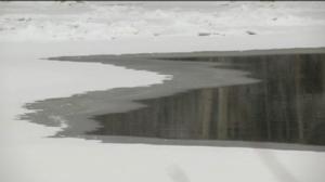 Yle Uutiset Lounais-Suomi: Yle Uutiset Lounais-Suomi 18-01-2018 Klo 17-06: 18.01.2018 16.48