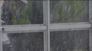 Yle Uutiset Pohjanmaa: Yle Uutiset Pohjanmaa 18-01-2018 Klo 17-06: 18.01.2018 16.52