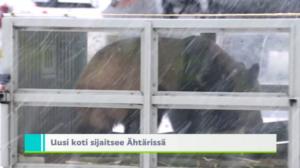 Yle Uutiset Uusimaa: Yle Uutiset Uusimaa 18-01-2018 klo 18-22: 18.01.2018 19.55