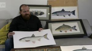 Luonto lähellä: Mistä tunnistaa kalat?: 22.01.2018 09.16