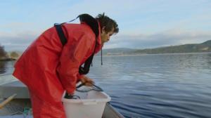 Yksineläjä Severin: 22.01.2018 12.00