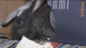 Yle Uutiset Keski-Suomi: Yle Uutiset Keski-Suomi 22-01-2018 Klo 17-06: 22.01.2018 16.38