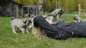 Luonto lähellä sydäntä: 23.01.2018 12.00