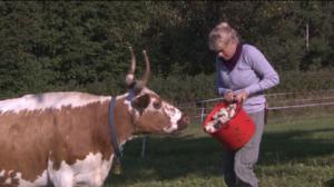 Näin Norjassa: 23.01.2018 16.15