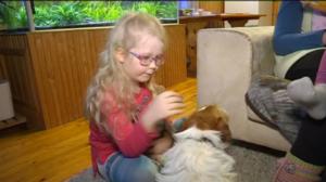 Yle Uutiset Kaakkois-Suomi: Yle Uutiset Kaakkois-Suomi 23-01-2018 Klo 17-06: 23.01.2018 16.27