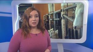 Yle Uutiset Uutis-Suomi: Yle Uutiset Uutis-Suomi 23-01-2018: 23.01.2018 18.52