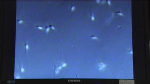 Yle Uutiset Itä-Suomi: Yle Uutiset Itä-Suomi 26-01-2018 Klo 17-06: 26.01.2018 16.29