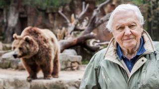 Luontohetki: Attenborough'n erikoiset: 28.01.2018 06.00