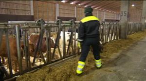 Yle Uutiset Häme: Yle Uutiset Häme 29-01-2018 klo 17-06: 29.01.2018 16.23