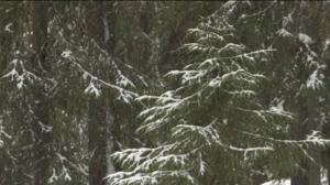 Yle Uutiset Pohjois-Suomi: Yle Uutiset Pohjois-Suomi 30-01-2018 Klo 17-06: 30.01.2018 16.41