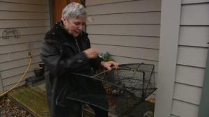 Norjaa ristiin rastiin: 31.01.2018 06.20