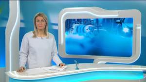 Yle Uutiset Pirkanmaa: Yle Uutiset Pirkanmaa 31-01-2018 Klo 18-22: 31.01.2018 18.08