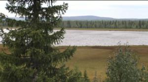 Yle Uutiset Lappi: Yle Uutiset Lappi 01-02-2018 Klo 17-06: 01.02.2018 16.40