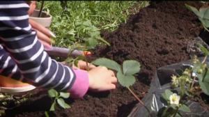 Ystäväni Ronja: 05.02.2018 06.58