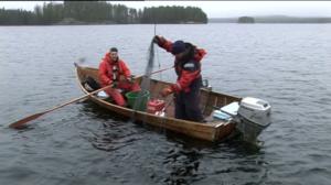 Erätulilla - kalavesillä: 06.02.2018 12.40