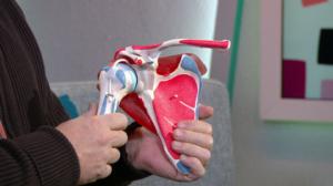 Aamutohtori: Jukka Pekka Kouri ja olkapäävaivat: 07.02.2018 09.26