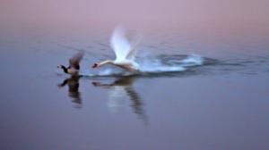 Happy hour (S): 07.02.2018 17.11