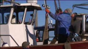 Yle Uutiset Pohjanmaa: Yle Uutiset Pohjanmaa 08-02-2018 Klo 17-06: 08.02.2018 16.52