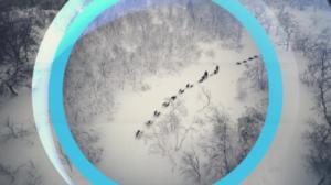 Oddasat: 12.02.2018 22.00