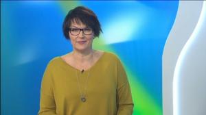 Yle Uutiset Häme: Yle Uutiset Häme 14-02-2018 klo 17-06: 14.02.2018 16.30