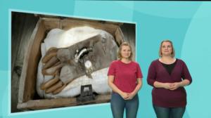 Historia hanskassa, Katti Matikainen (viittomakielelle tulkattuna): 16.02.2018 02.00