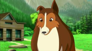 Lassie (7): 18.02.2018 09.34