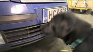 Yle Uutiset Itä-Suomi: Yle Uutiset Itä-Suomi 19-02-2018 Klo 17-06: 19.02.2018 16.39