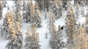 Yle Uutiset Lappi: Yle Uutiset Lappi 22-02-2018 Klo 17-06: 22.02.2018 17.00