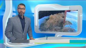 Yle Uutiset Häme: Yle Uutiset Häme 22-02-2018 Klo 18-22: 22.02.2018 17.58